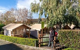 Hu Roma Camping In Town